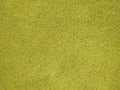 Té verde Japón Bio Matcha ´n Shake