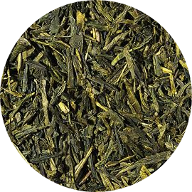 Sencha Paradiso