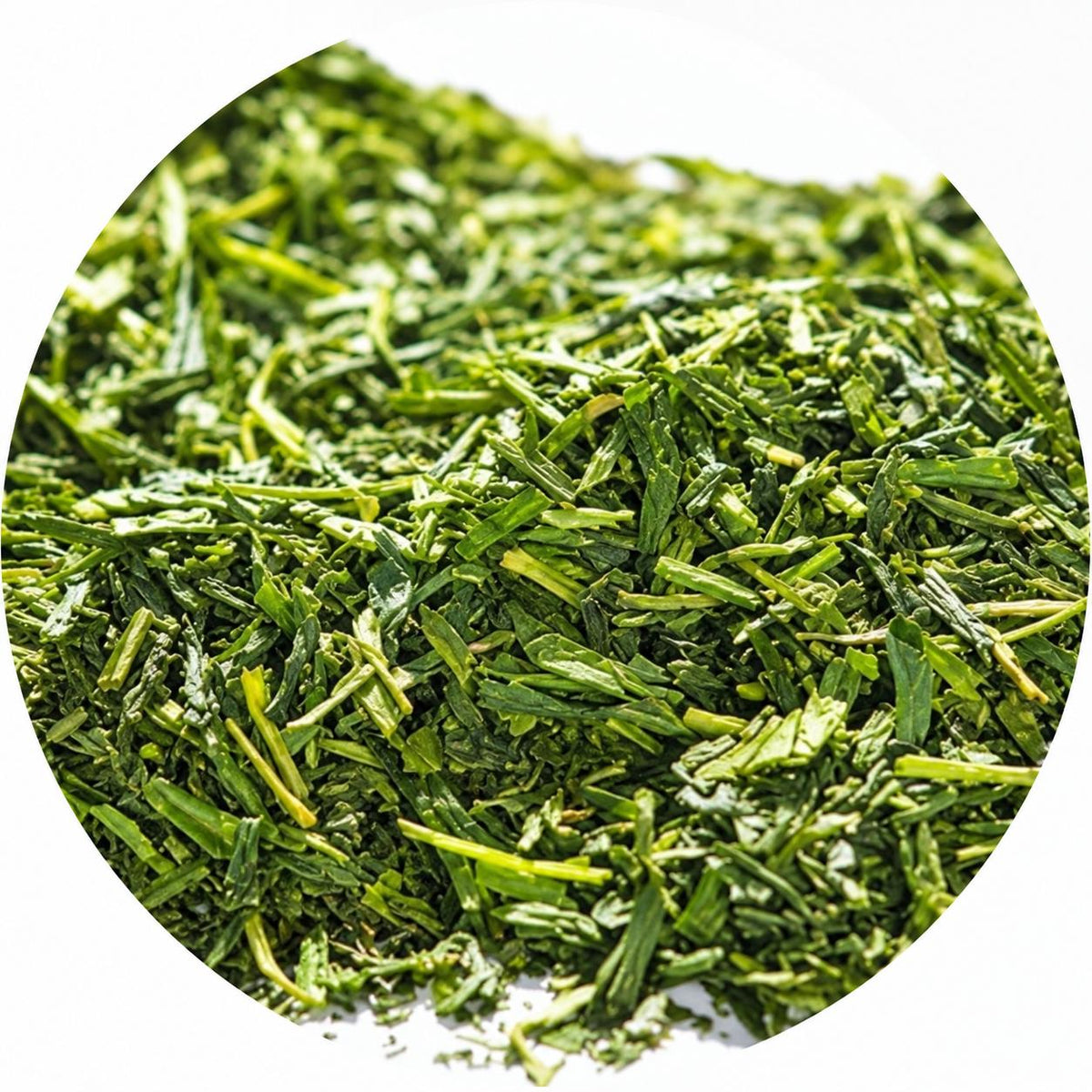 Sencha Jeido con Matcha