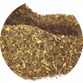 Menta